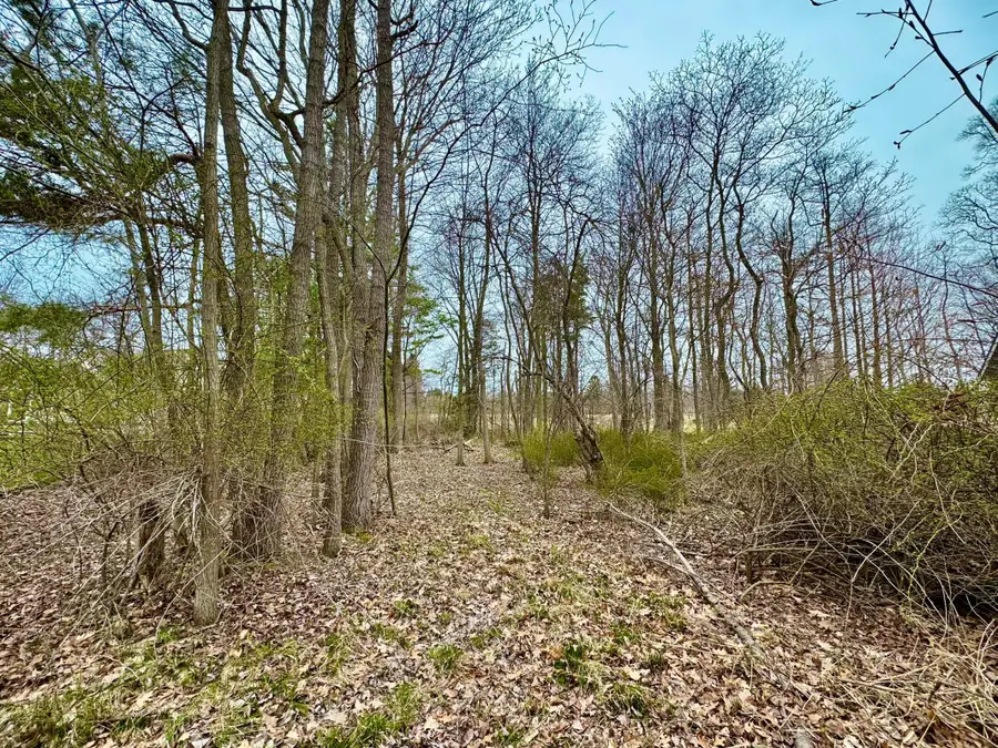 125 W Shore Woods Drive, Douglas, MI 49406 - #3