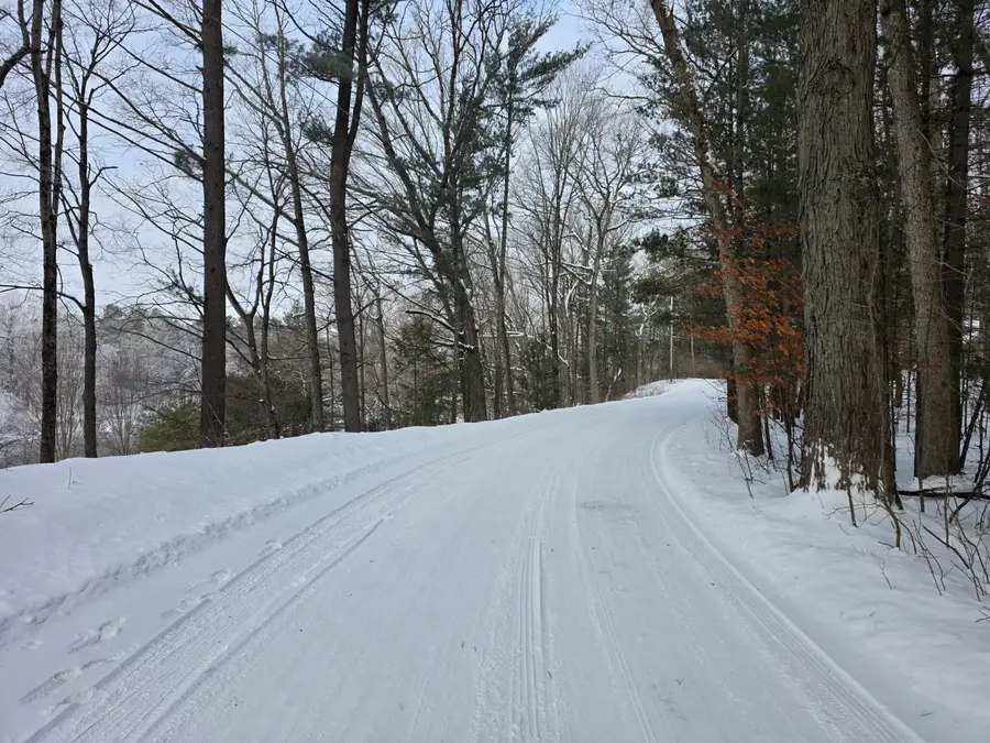 7696 Muskegon Boulevard, Newaygo, MI 49337 - #3