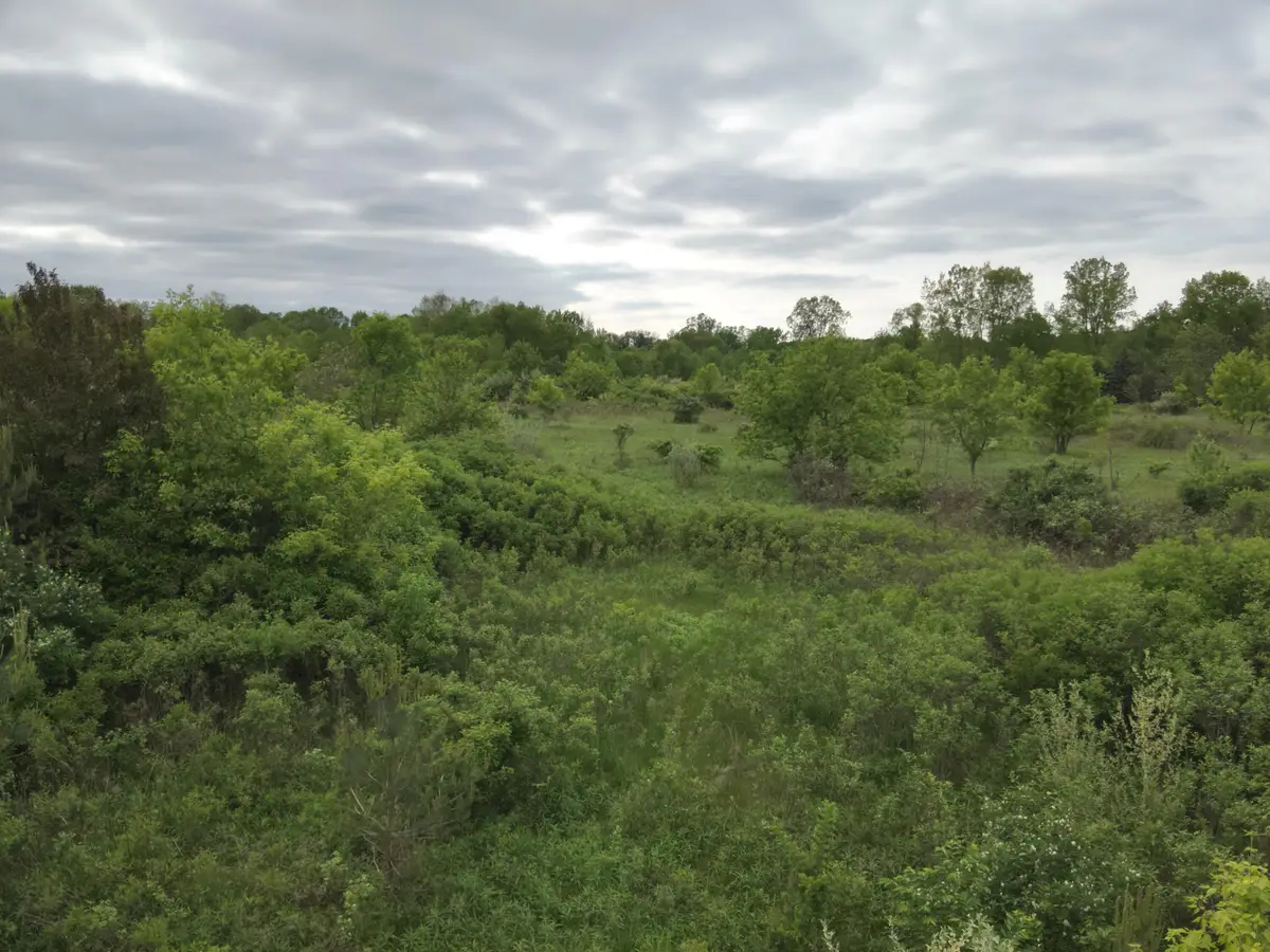 Bunkerhill Road, Jackson, MI 49201 - Image #1