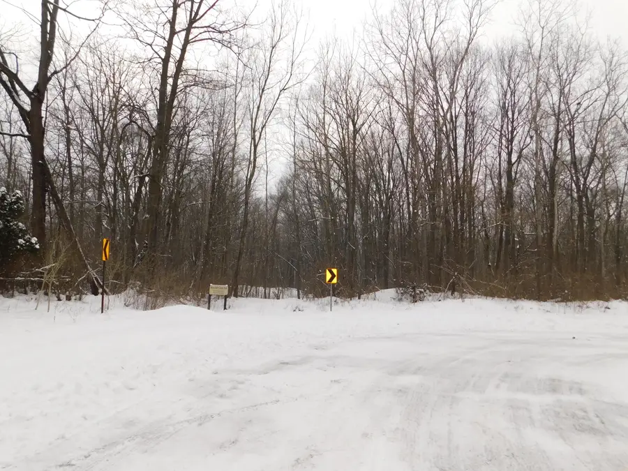 2900 Sharon Drive, Ann Arbor, MI 48108 - Image #3