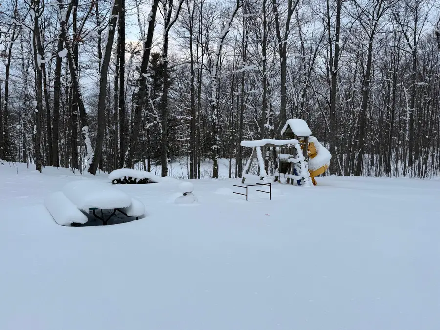 8180 N Echo Valley Drive, Irons, MI 49644 - #3