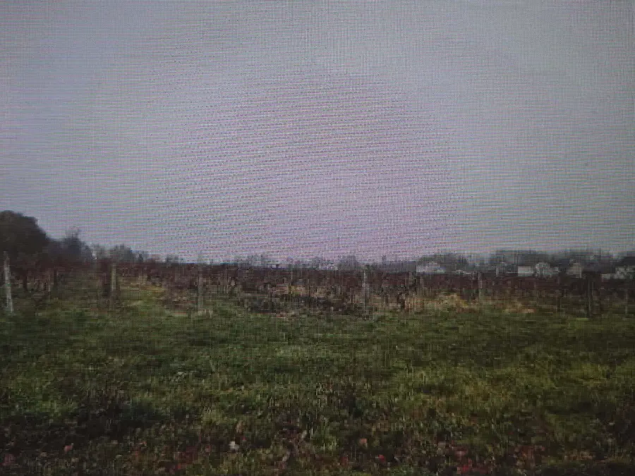 V/L Lauren Lane, Saint Joseph, MI 49085 - Image #3