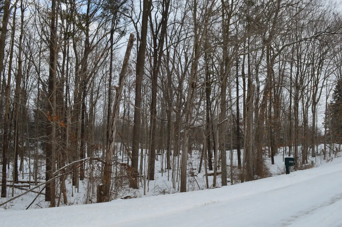 0 Willow Rd, Saline, MI 48176 - #1