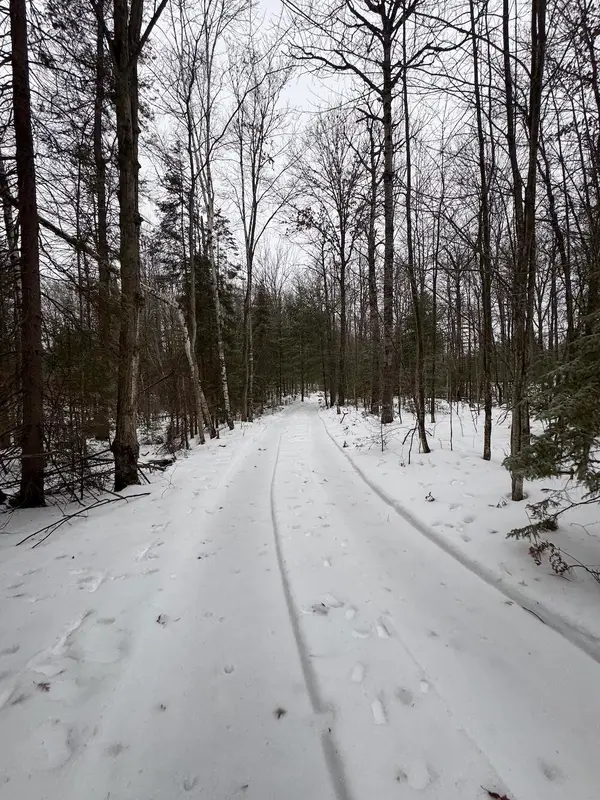 S Loxley Road, Houghton Lake, MI 48629