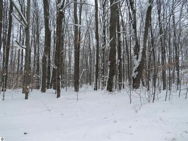 0 W 38 Road, Harrietta, MI 49638 - #1