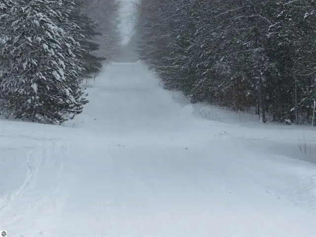 0 W 38 Road, Harrietta, MI 49638 - #3