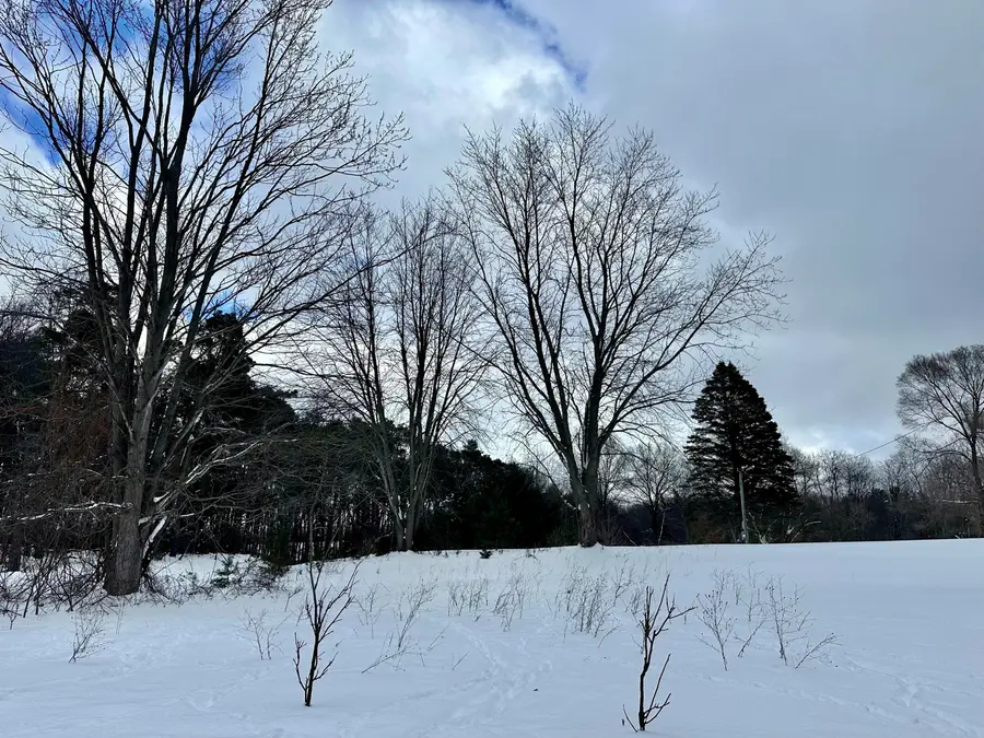 3505 65th Street, Saugatuck, MI 49453 - Image #2