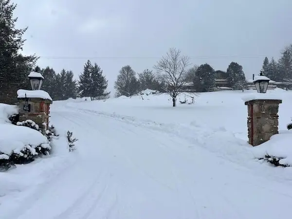 8903 Maidens Road, Bear Lake, MI 49614