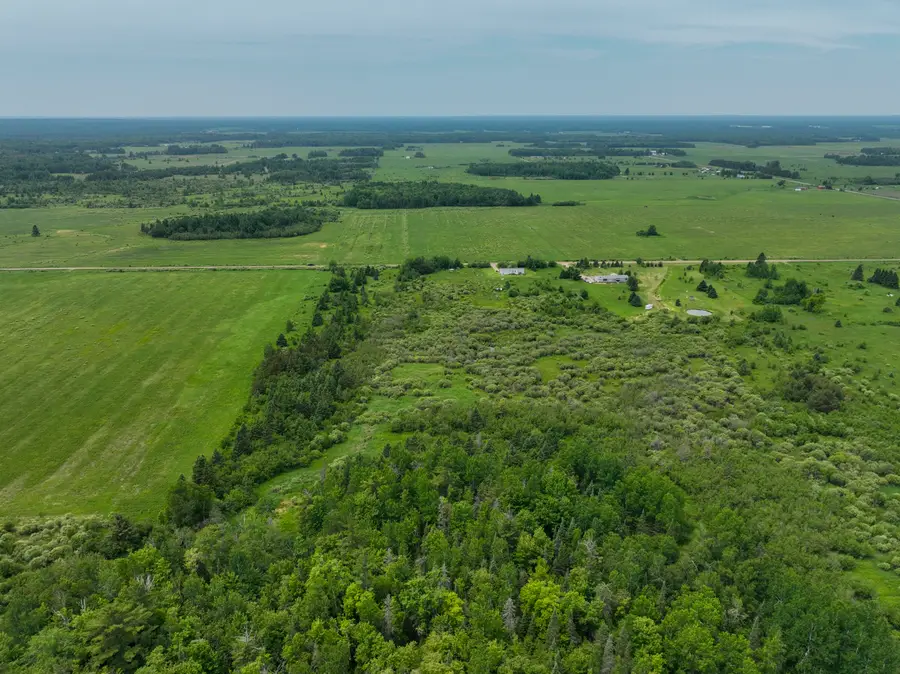 V/L 9.9A S Forrest Side Road, Rudyard, MI 49780 - #3