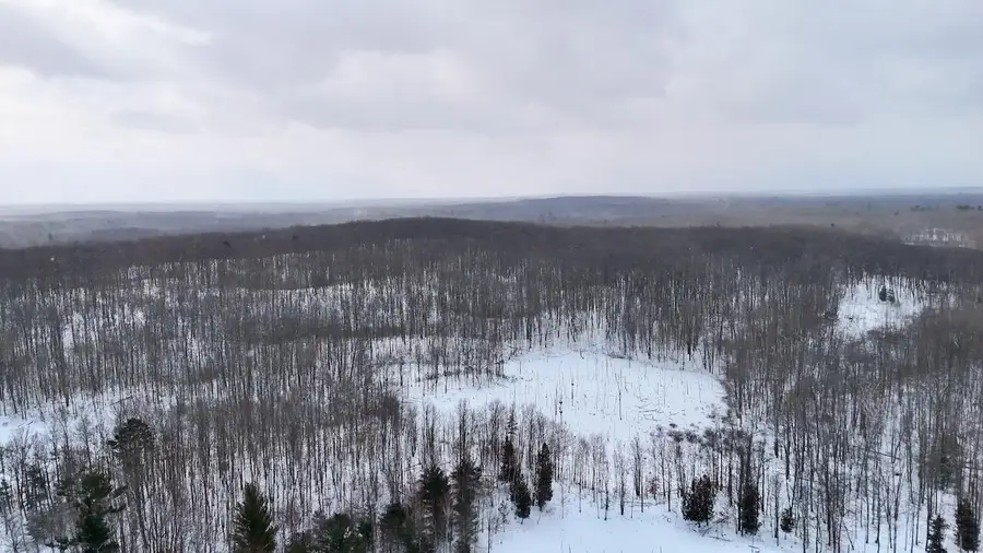 6182 Hamilton Road, Harrison, MI 48625 - #2