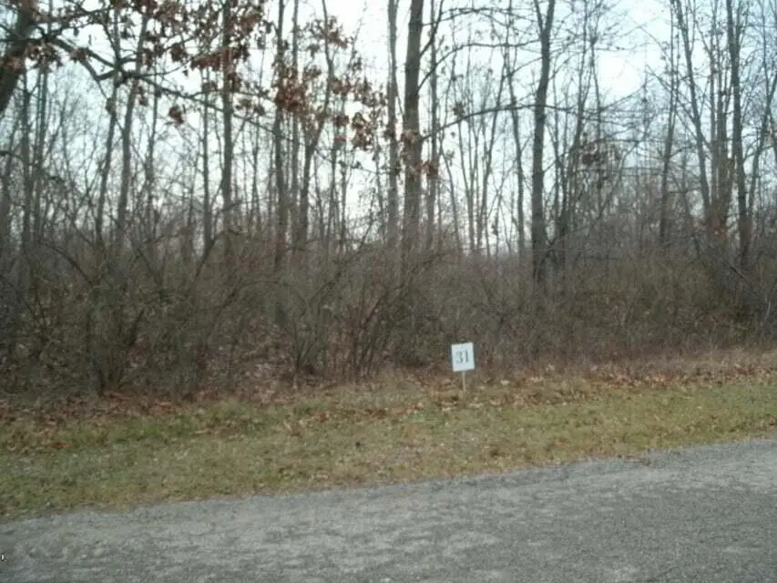 0 Drew Drive #Lot 31, Niles, MI 49120 - #1
