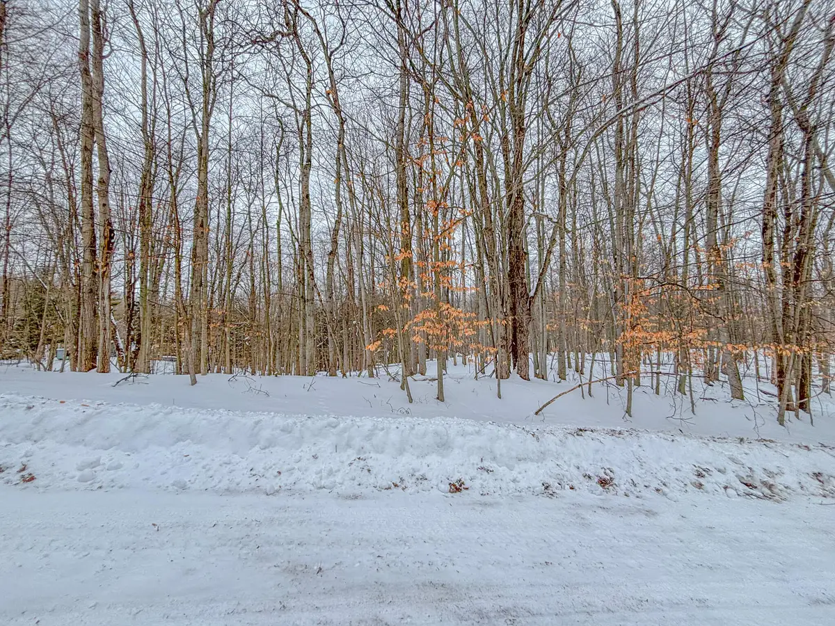 12329 Wagon Wheel Trail #387, Canadian Lakes, MI 49346 - #1