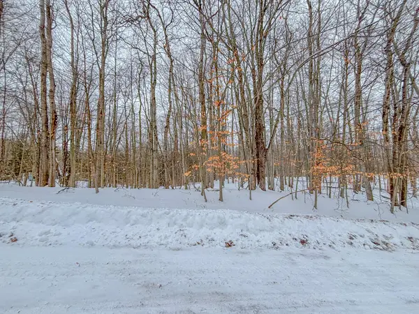 12329 Wagon Wheel Trail #387, Canadian Lakes, MI 49346