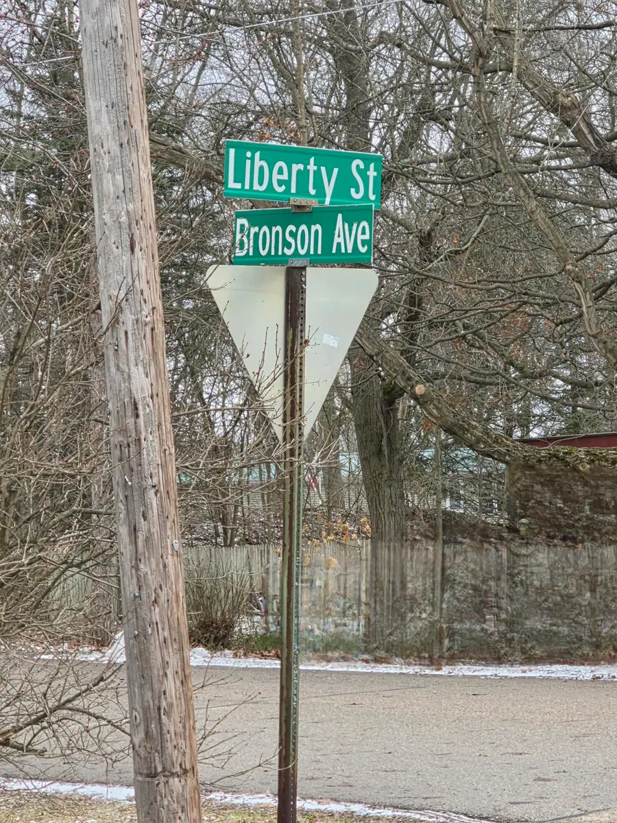 V/L Bronson Avenue, Plainwell, MI 49080 - #2