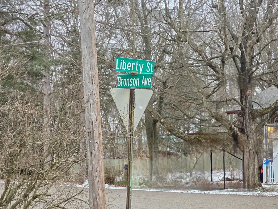 V/L Bronson Avenue, Plainwell, MI 49080 - #3