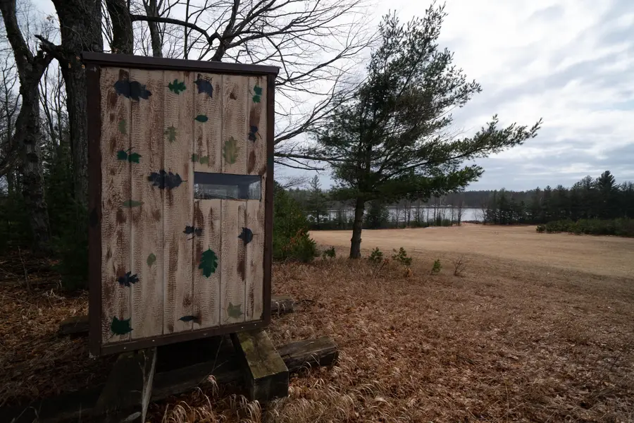 V/L 67A E Old M-63, Luther, MI 49656 - Image #2