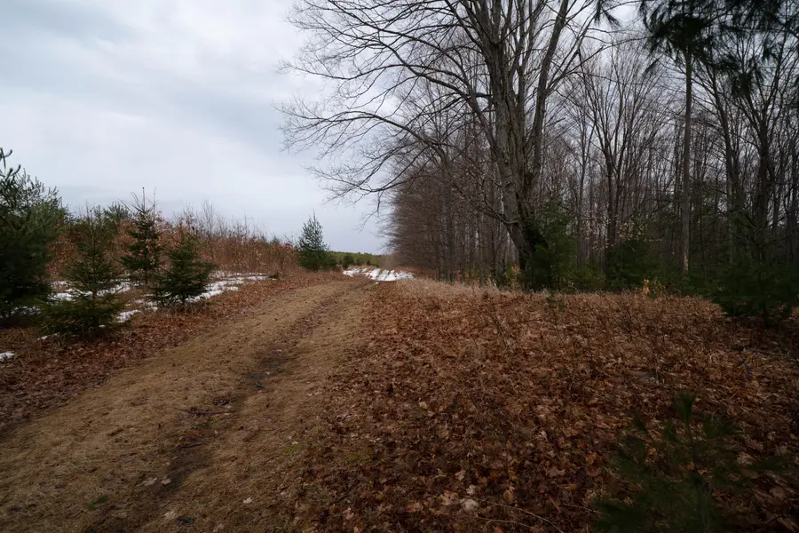 V/L 67A E Old M-63, Luther, MI 49656 - Image #3