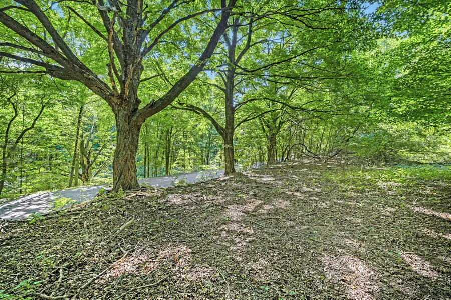 V/L 56th Avenue, Paw Paw, MI 49079 - #2