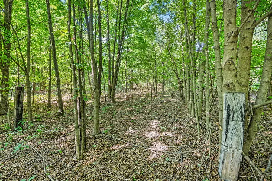 V/L 56th Avenue, Paw Paw, MI 49079 - #3