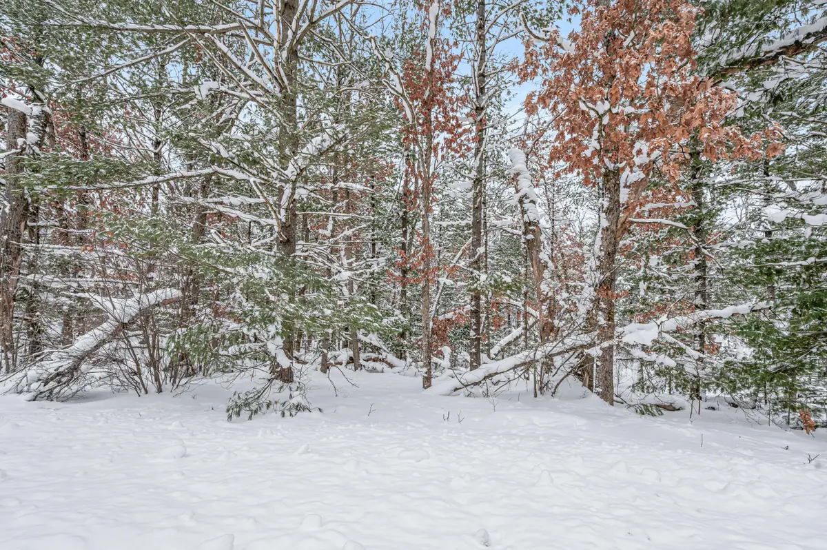 01 Bradby Blvd, Baldwin, MI 49304 - #1