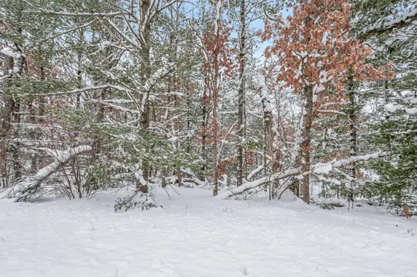 01 Bradby Blvd, Baldwin, MI 49304