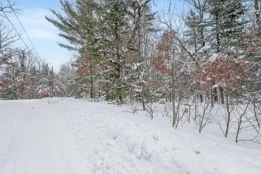 01 Bradby Blvd, Baldwin, MI 49304 - #2