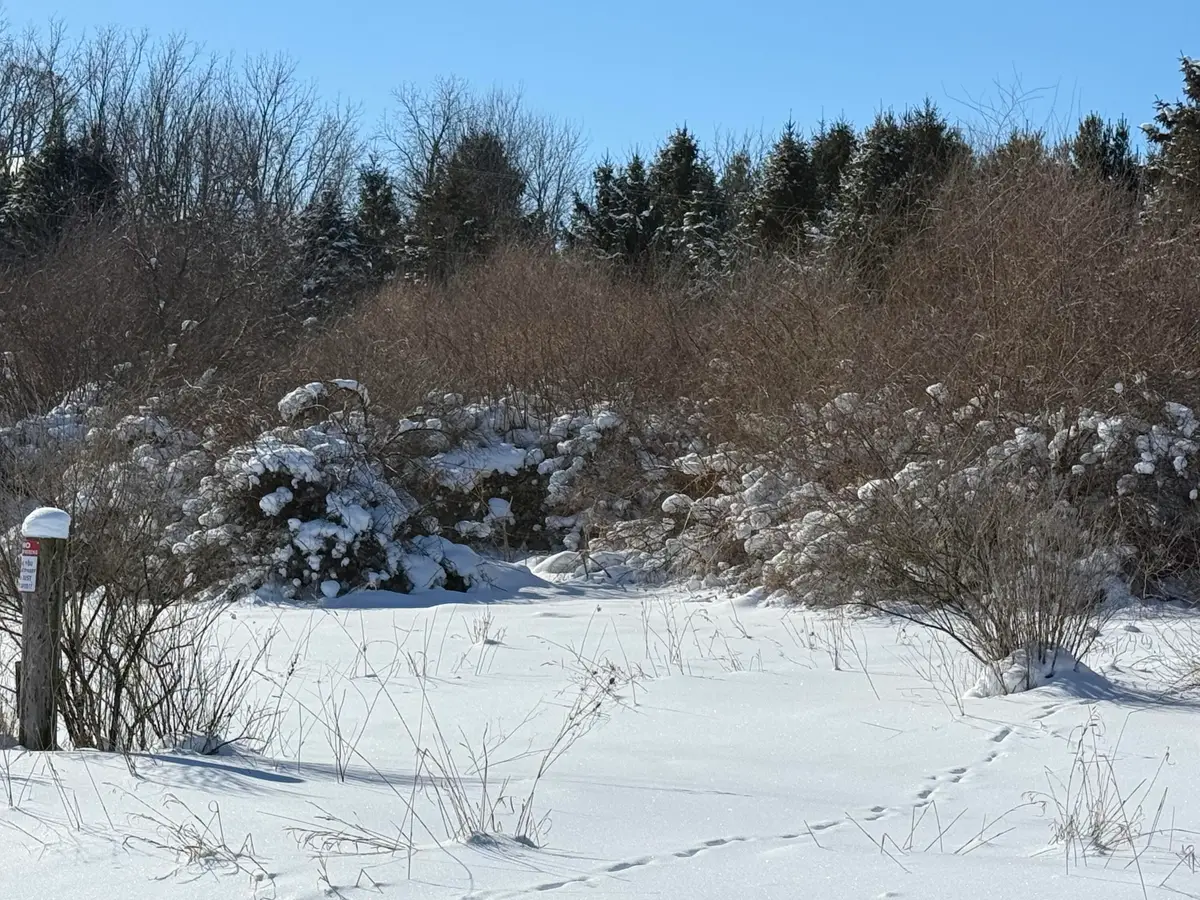 6800 W Barnum Road, Middleville, MI 49333 - #1