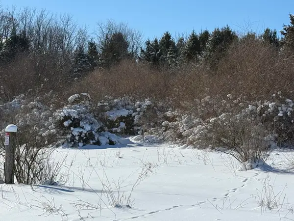 6800 W Barnum Road, Middleville, MI 49333