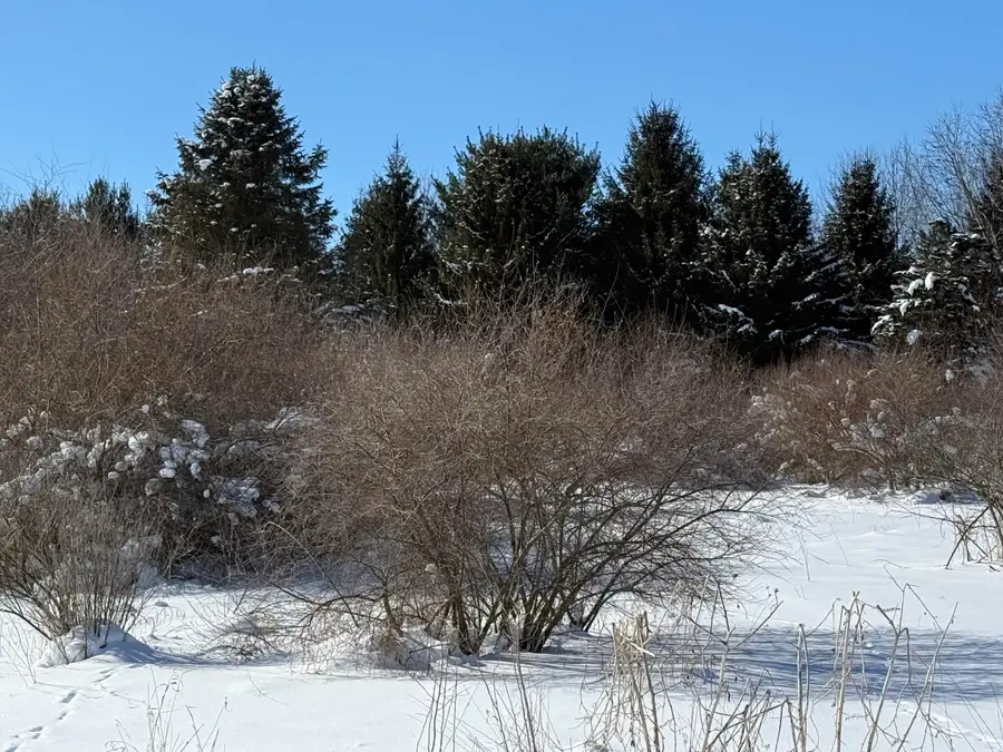 6800 W Barnum Road, Middleville, MI 49333 - #2