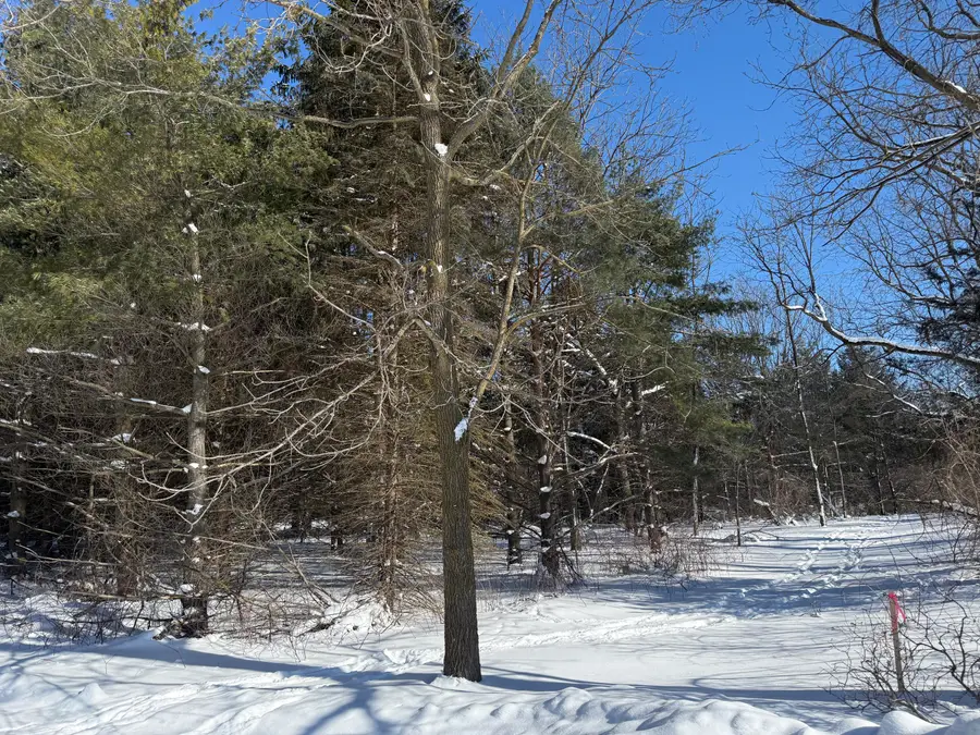 6800 W Barnum Road, Middleville, MI 49333 - #3