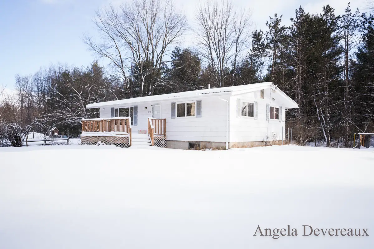 6040 N Hillman Road, Six Lakes, MI 48886 - #1