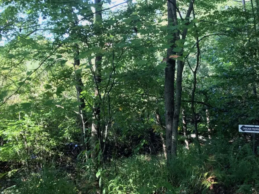 VL E Woodlawn Avenue, Newaygo, MI 49337 - #2