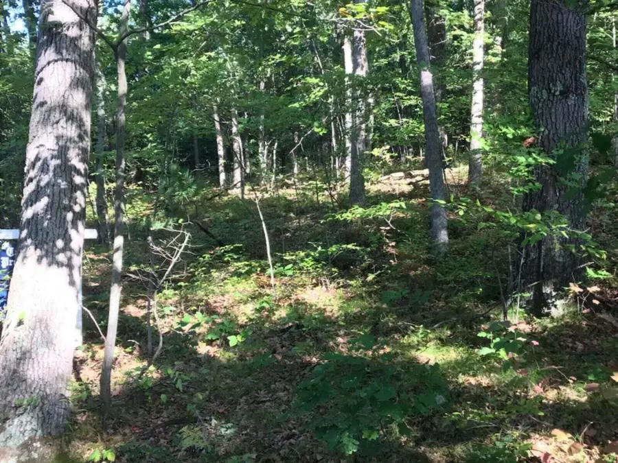 VL E Woodlawn Avenue, Newaygo, MI 49337 - #3