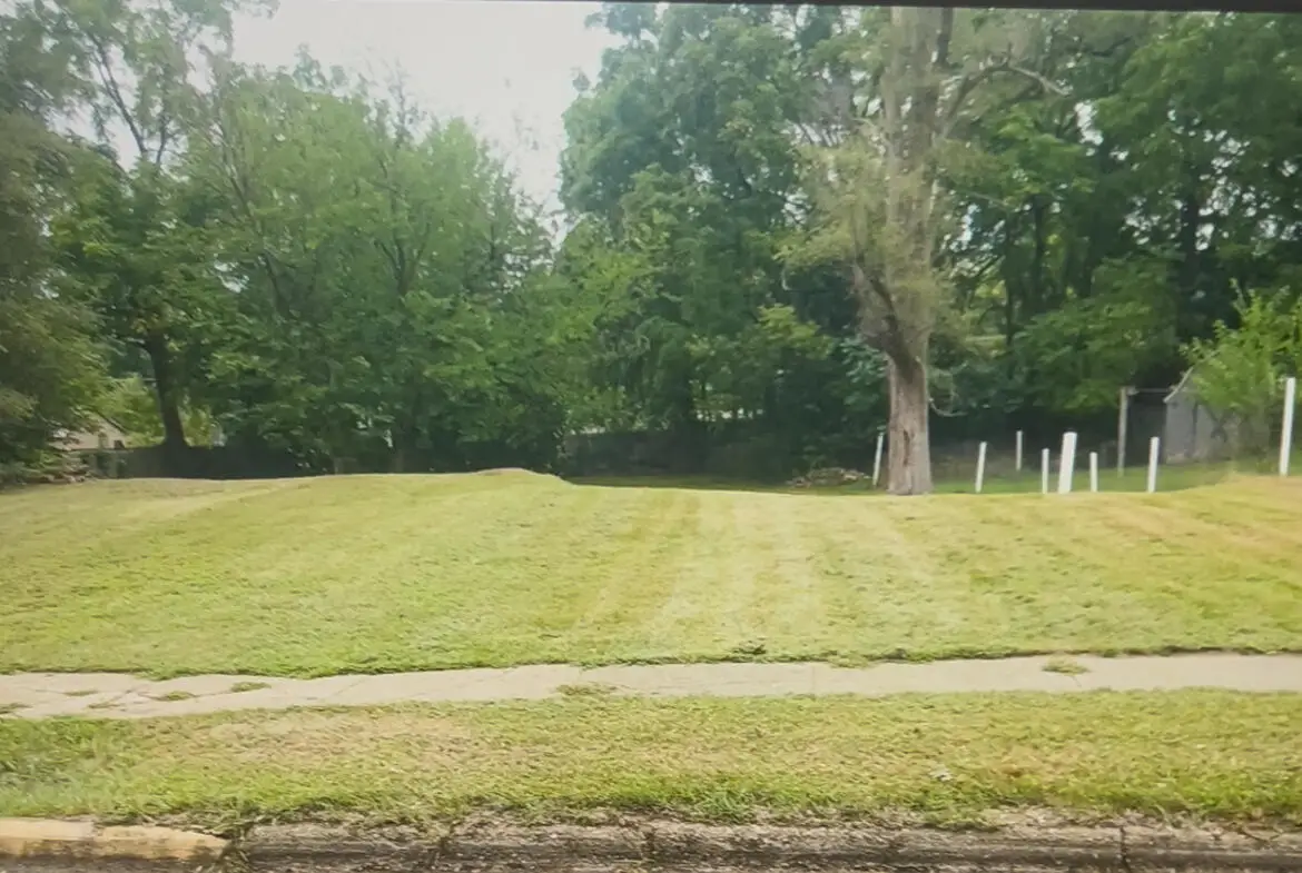 910 W Grove Street, Greenville, MI 48838 - #1