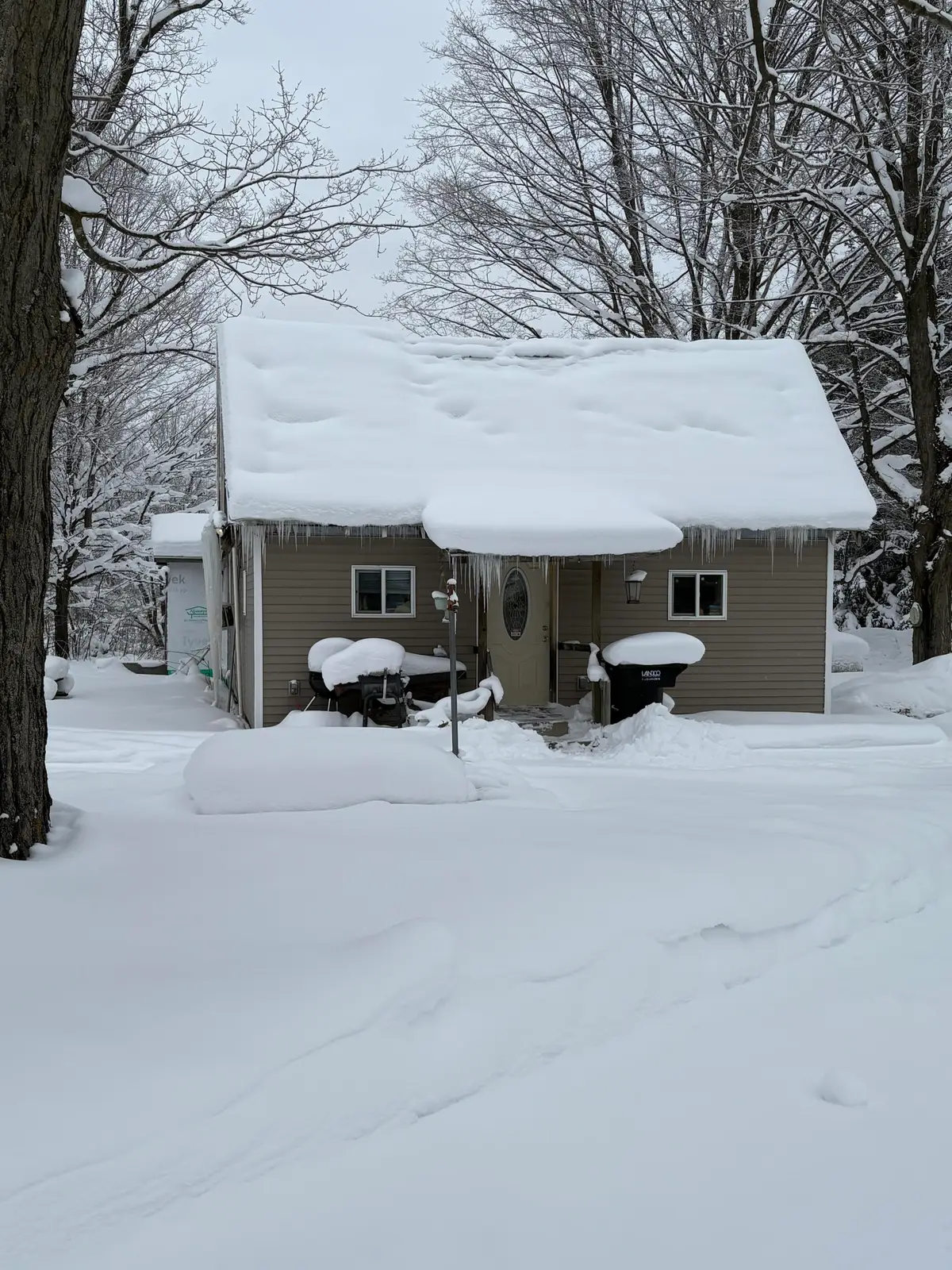 3885 E Loop Road, Hesperia, MI 49421 - #1