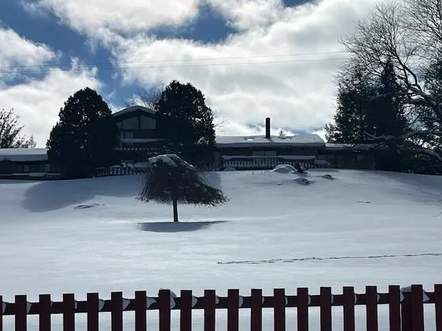 8903 Maidens Road, Bear Lake, MI 49614 - #1