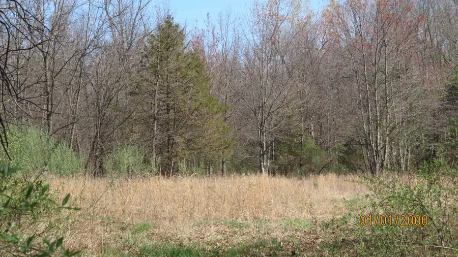 V / L Redfield, Edwardsburg, MI 49112 - #3