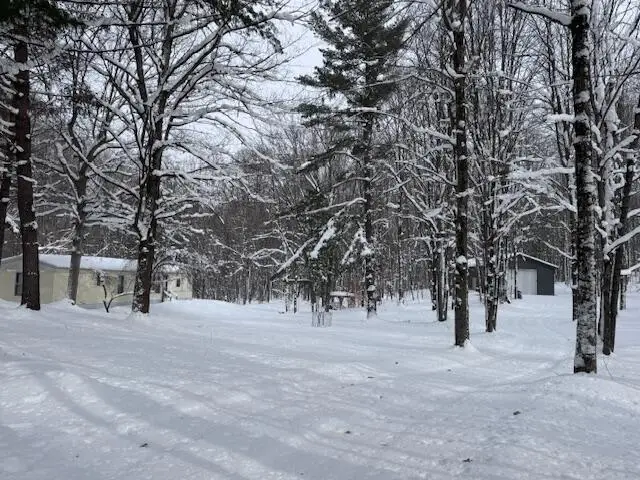 7808 E 48th Street, Chase, MI 49623 - #1