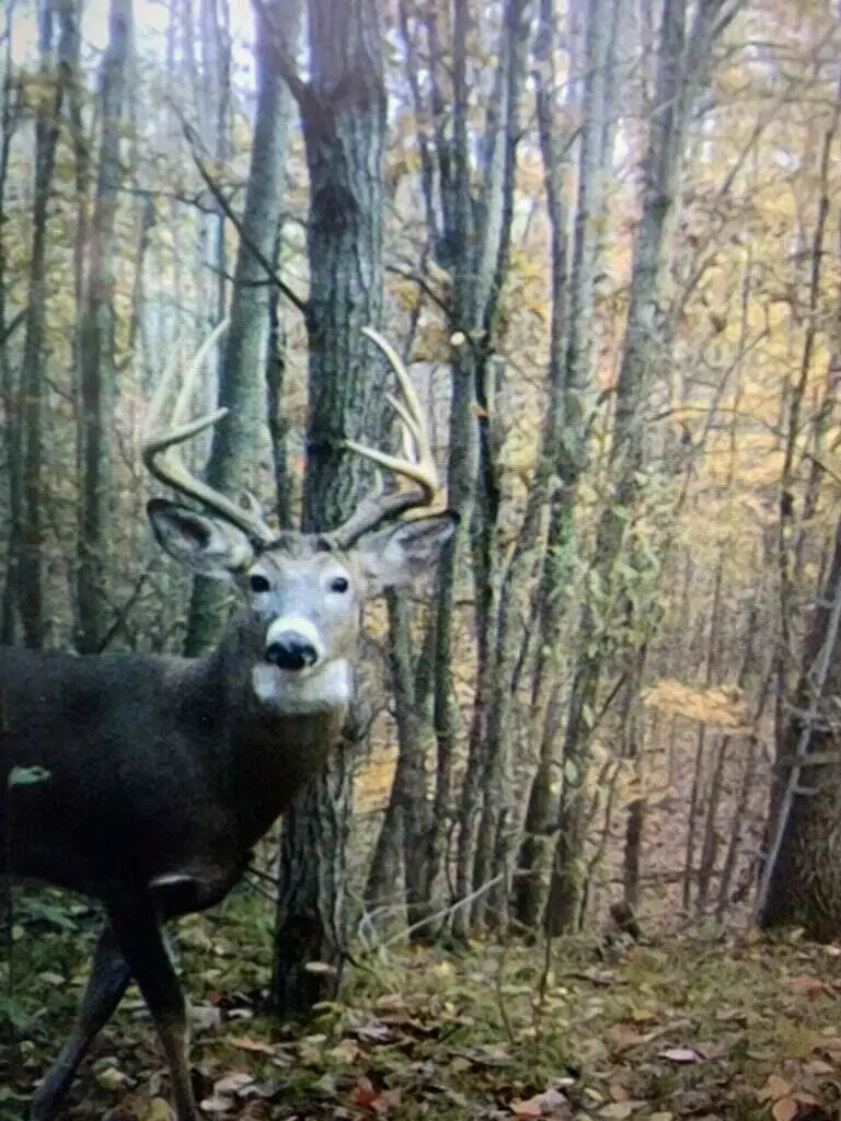 V/L 125th Avenue, Stanwood, MI 49346 - #1