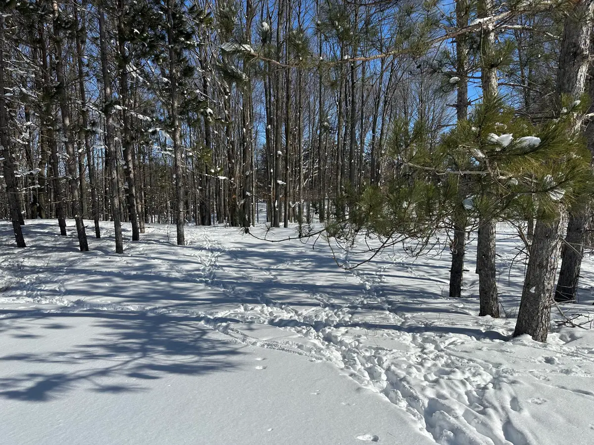 00 E 24 Road, Cadillac, MI 49601 - #1