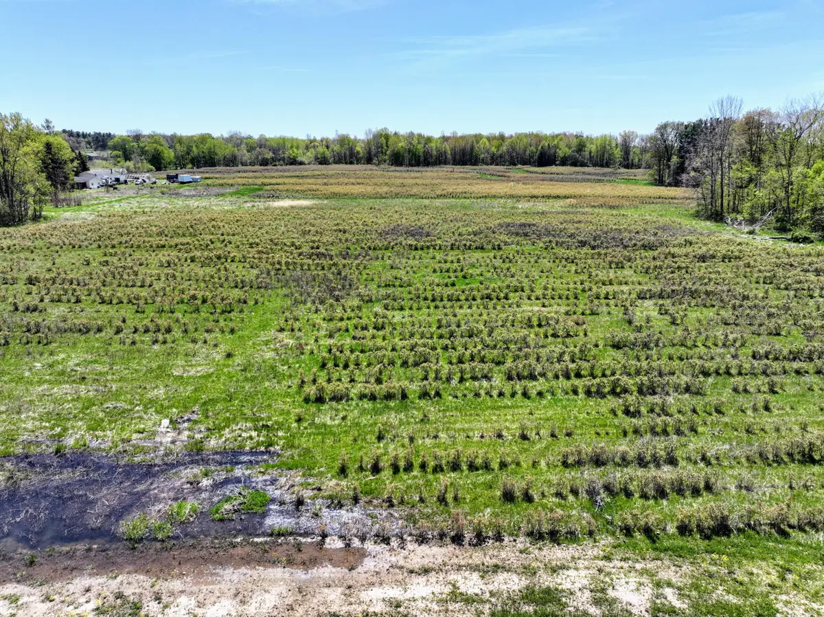 VL Benny Ct (private) #Parcel 4, Grand Junction, MI 49056 - #1