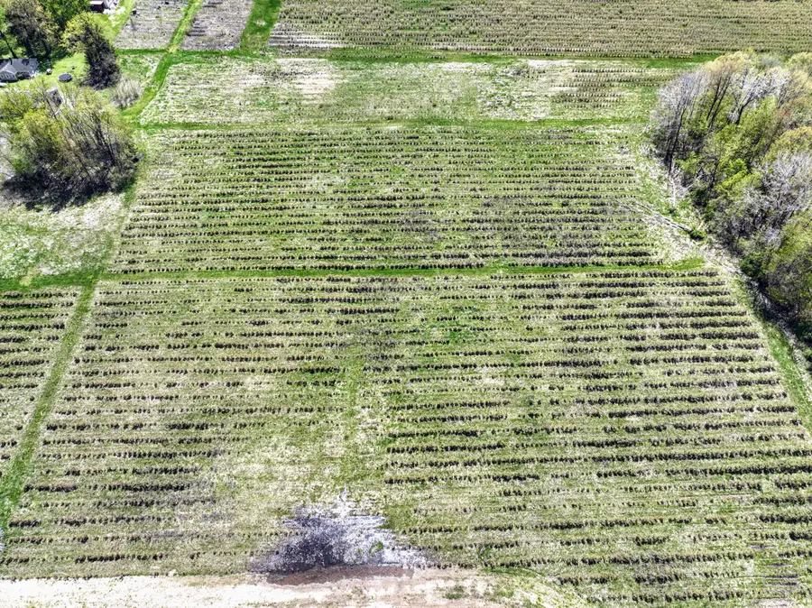 VL Benny Ct (private) #Parcel 4, Grand Junction, MI 49056 - #3