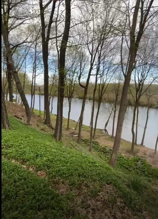 2348 Spring Arbor, Saint Joseph, MI 49085 - #1