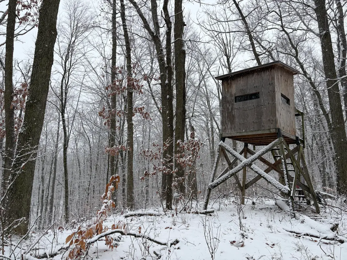 9194 Orion Trail, White Cloud, MI 49349 - #1