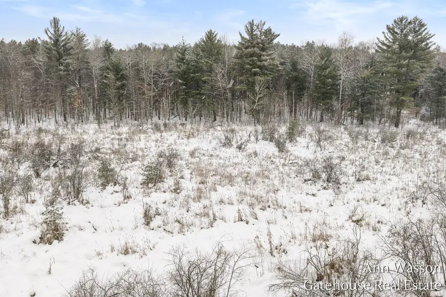 TBD 8 Mile, Stanwood, MI 49346 - #2