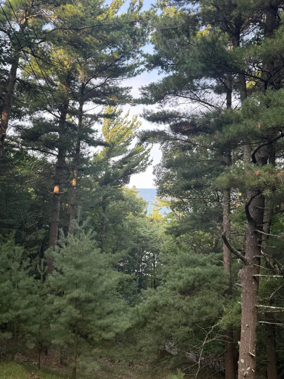 Lot G Hemlock Trail, Shelby, MI 49455 - #1