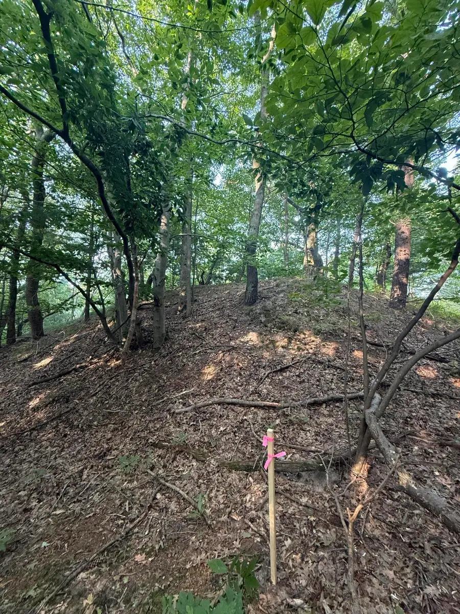 Lot G Hemlock Trail, Shelby, MI 49455 - #3