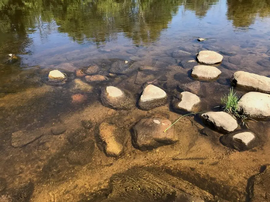 Lots 8 & 9 S Riverview Drive, Hesperia, MI 49421 - #2