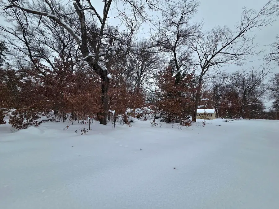 2660 W Mead Street, Baldwin, MI 49304 - #3