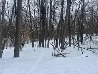 9980 Red Deer Court #577, Canadian Lakes, MI 49346